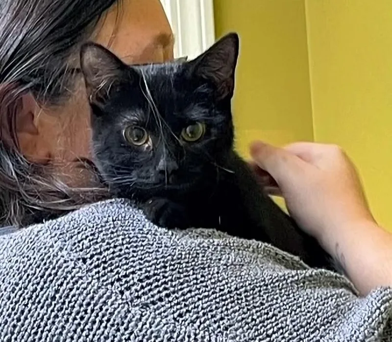 Millie thumbnail 2