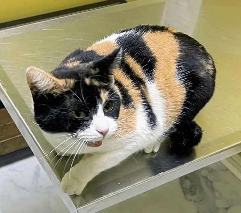 Winnifred thumbnail 3