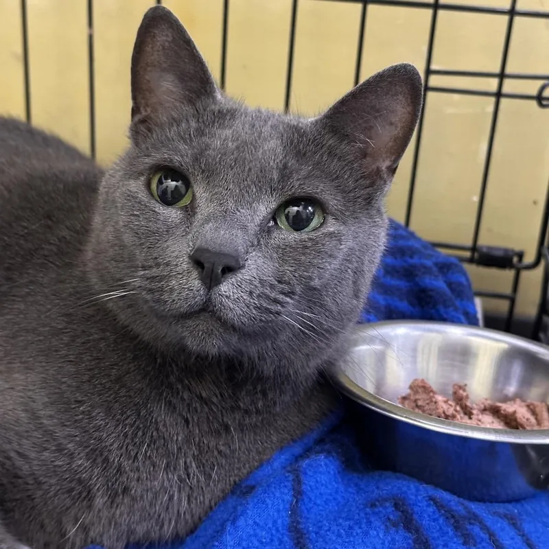 Baby Girl thumbnail 2