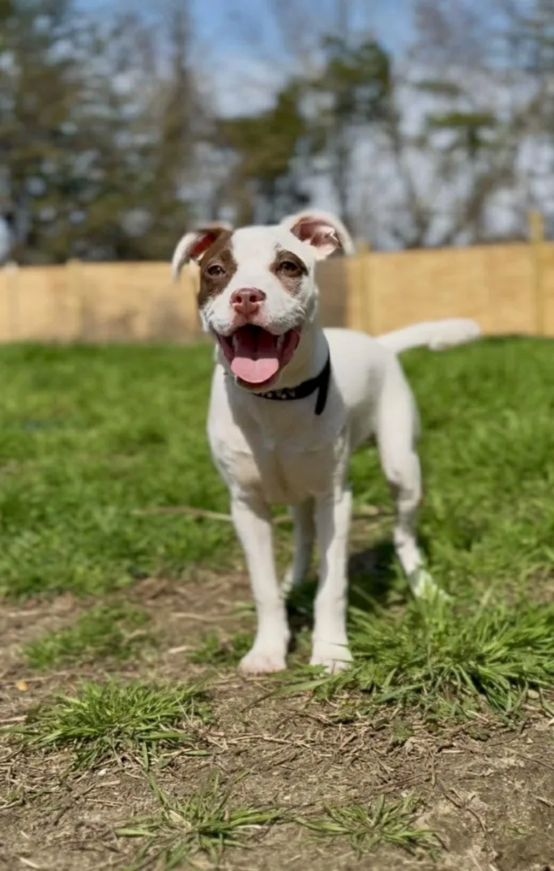 Lilo  Ohana thumbnail 3