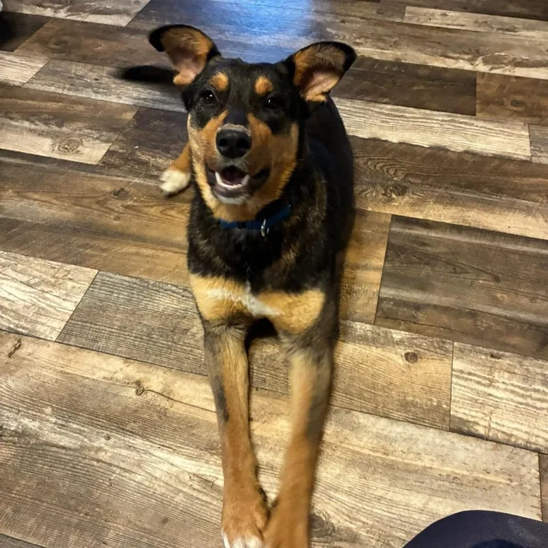 Mama O'neil thumbnail 2