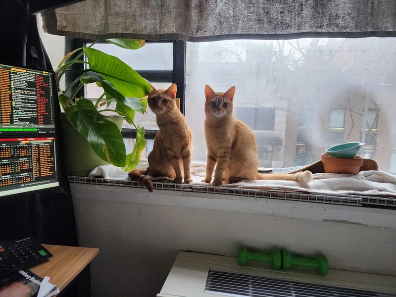 Jack And Jacque thumbnail 2