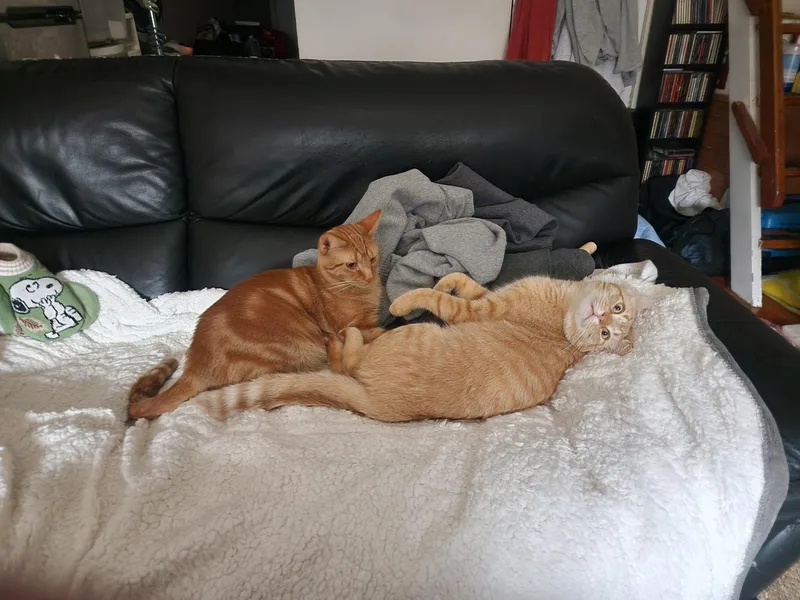 Jack And Jacque thumbnail 3