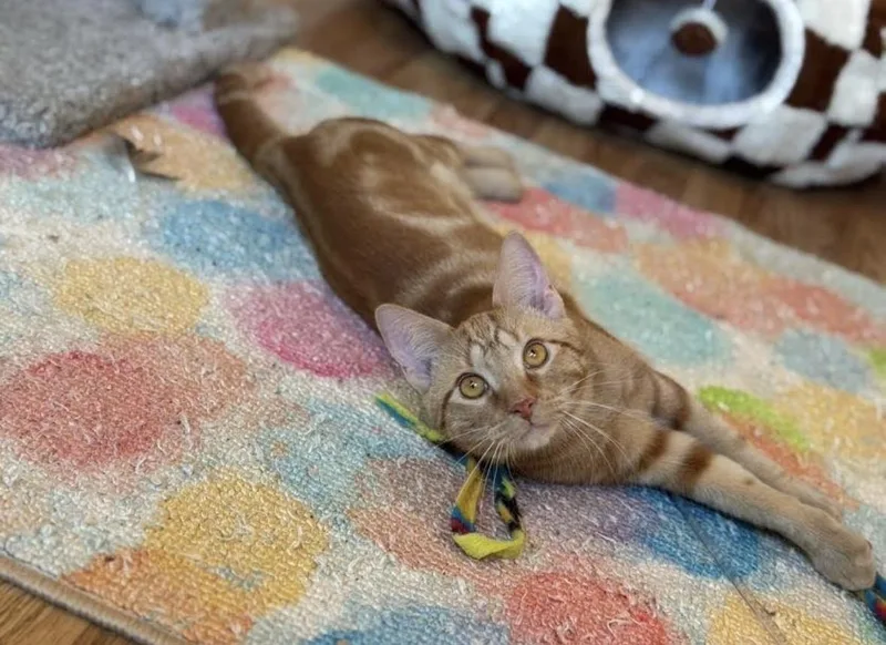 Jack And Jacque thumbnail 4