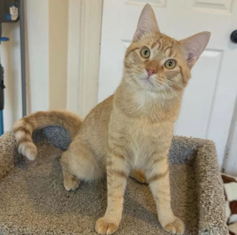 Jack And Jacque thumbnail 6