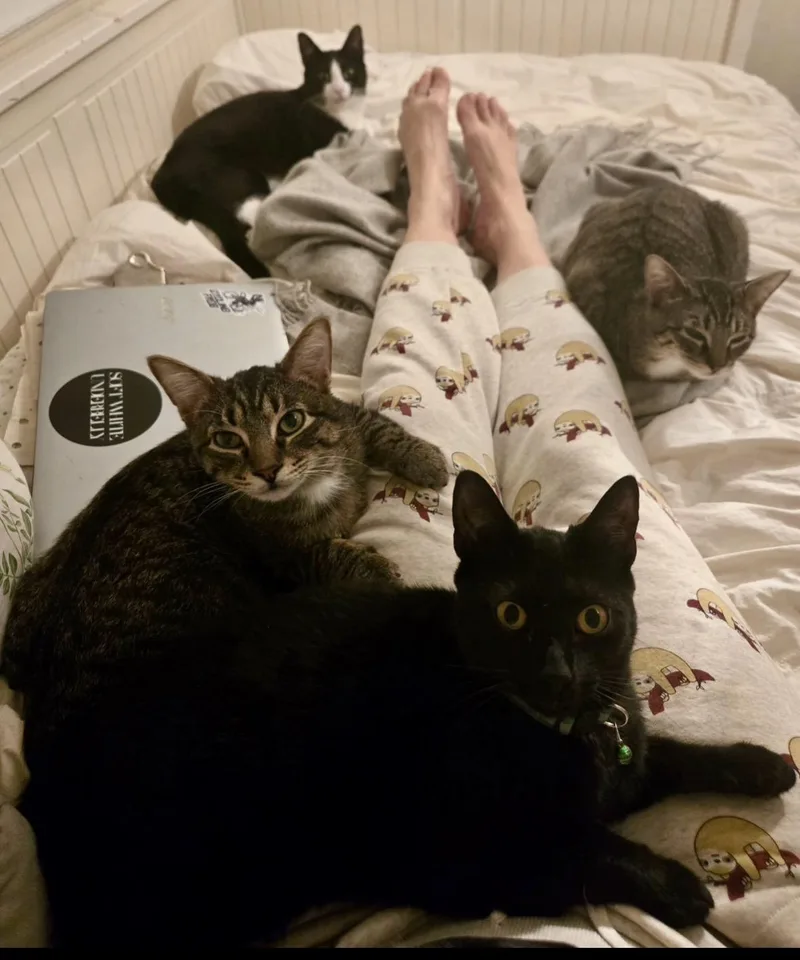 Mocha And Latte  thumbnail 2