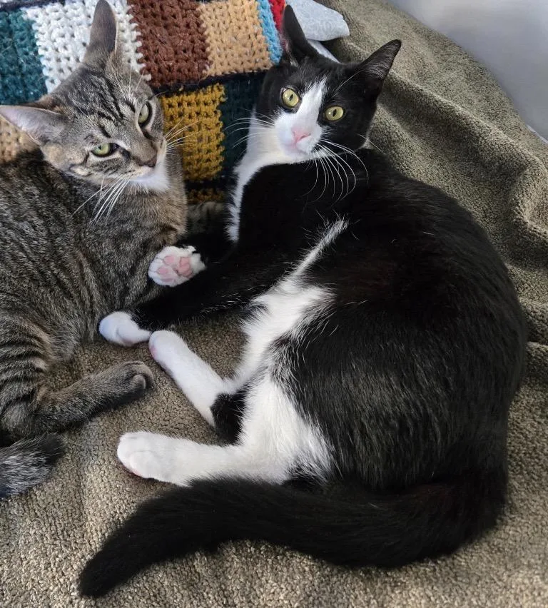 Mocha And Latte  thumbnail 3