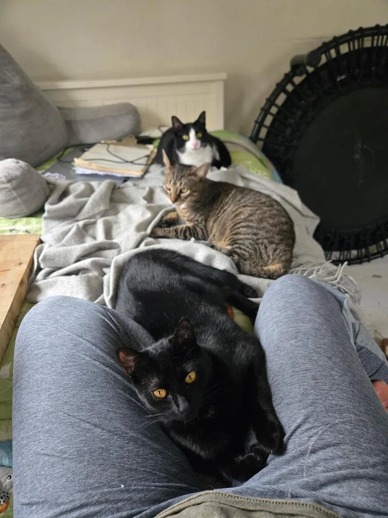 Mocha And Latte  thumbnail 5