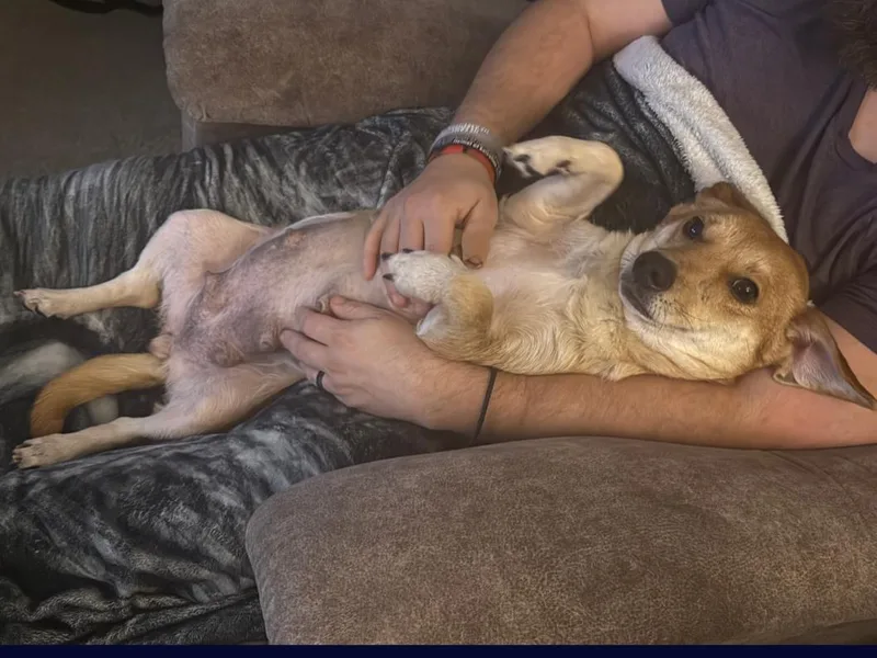 Margie: The Simpson's Litter thumbnail 2