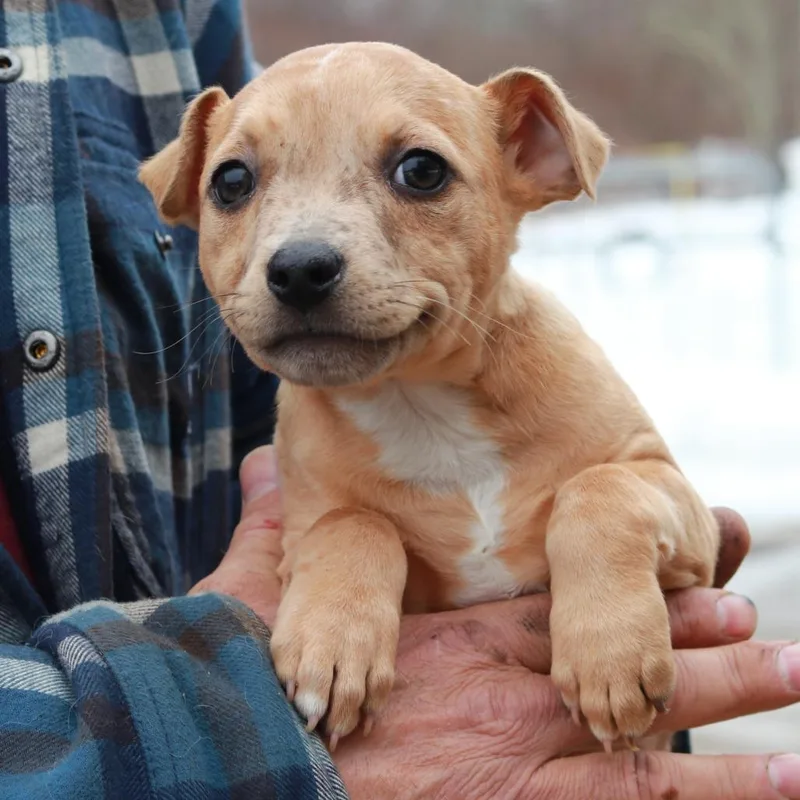 Ct Jill Avail Mar thumbnail 4