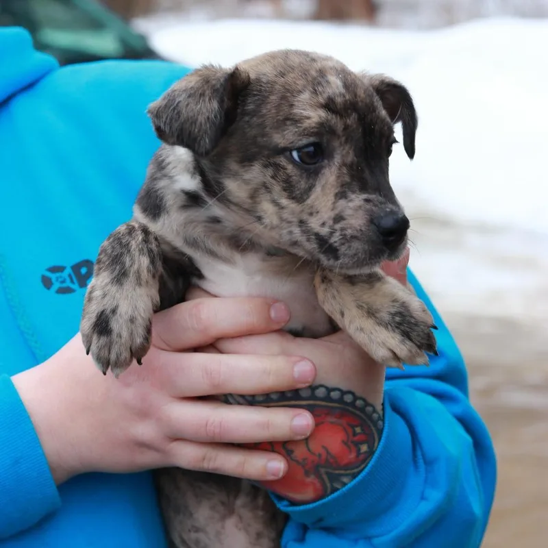 Ct Kelly Avail Mar thumbnail 3