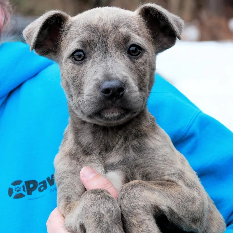 Ct Sabrina Avail Mar thumbnail 3