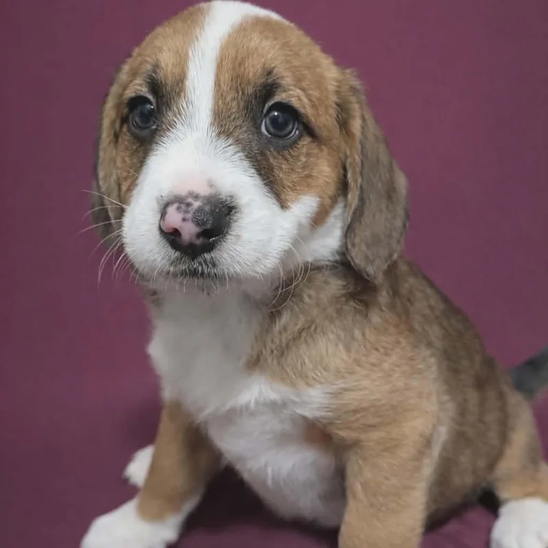 Freddie Mac thumbnail 3