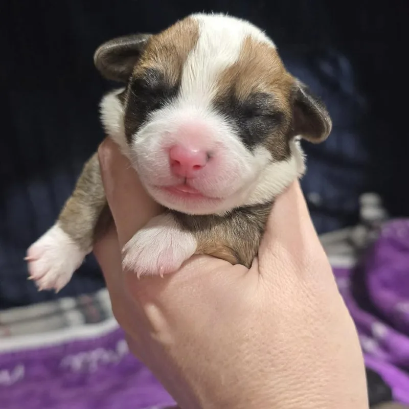 Freddie Mac thumbnail 4