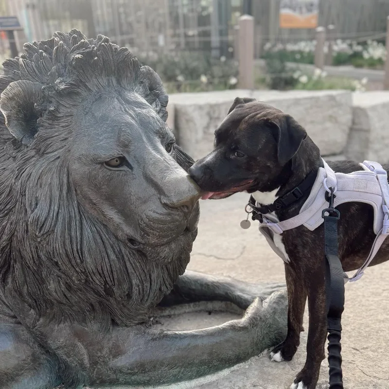 Humberto thumbnail 2