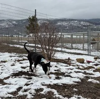 Lil' Bitty thumbnail 2