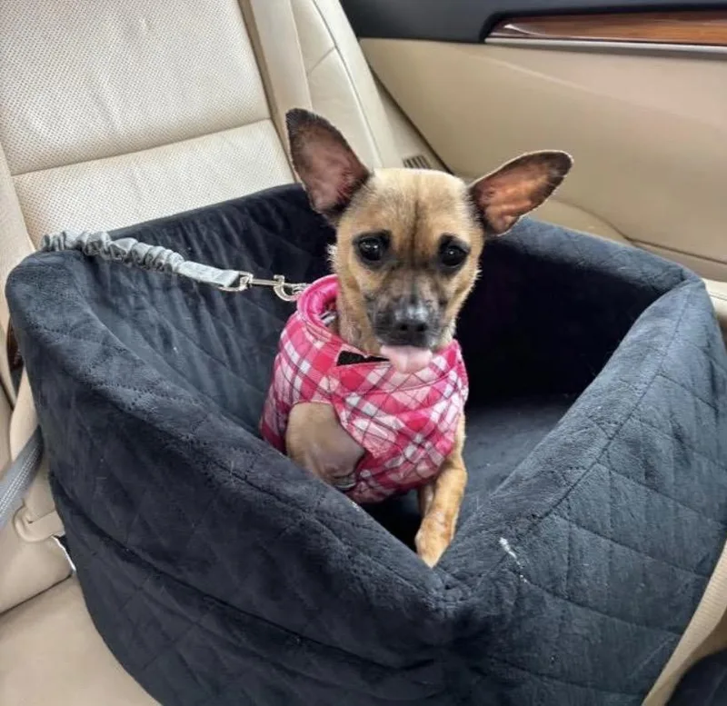 Lunar Moon thumbnail 2