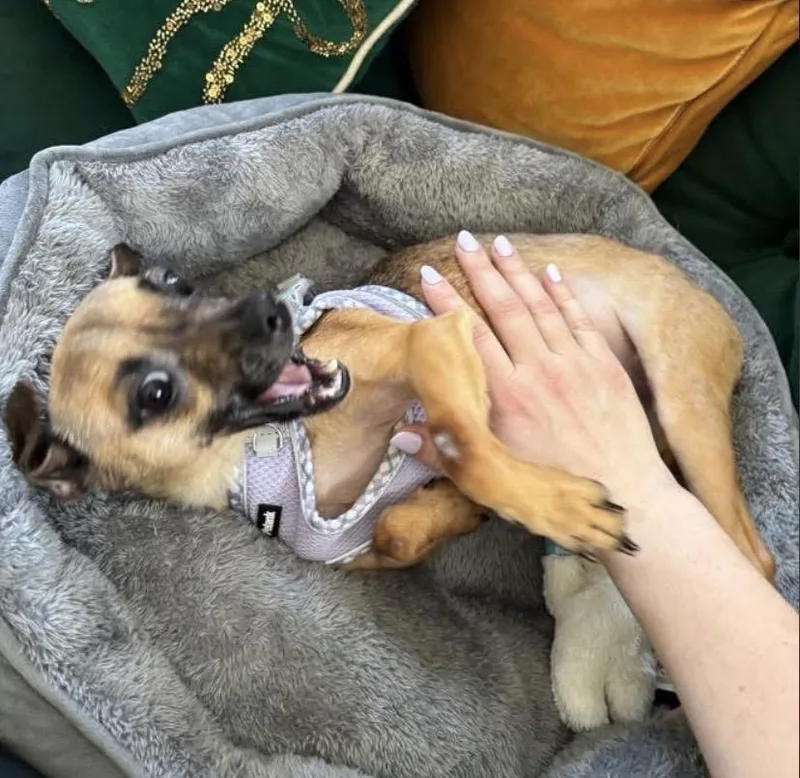 Lunar Moon thumbnail 3