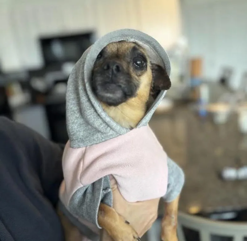 Lunar Moon thumbnail 4