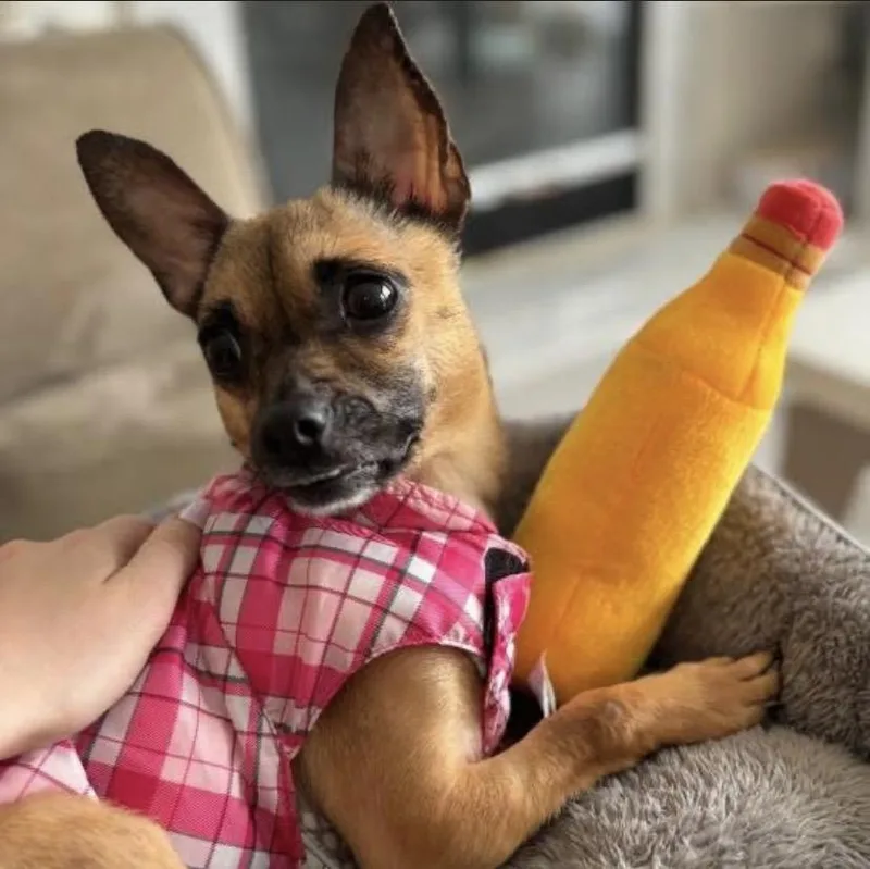 Lunar Moon thumbnail 5