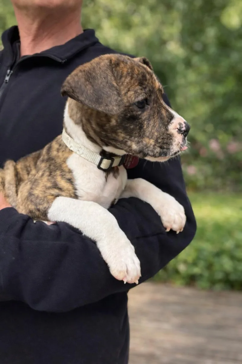 Virginia thumbnail 2