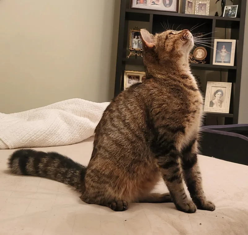 Sugar Mama thumbnail 2