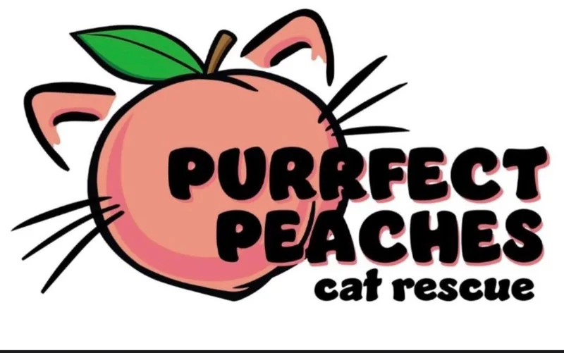 Viscount Anthony Bridgerton