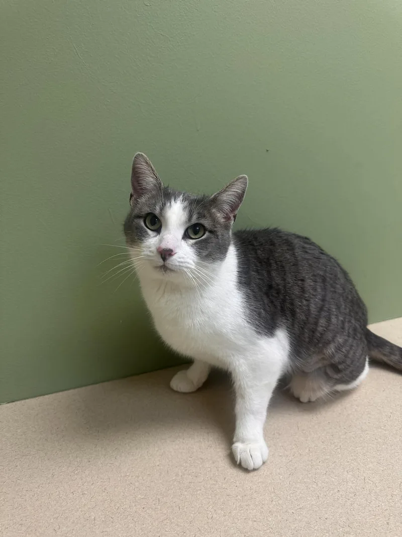 Lorraine thumbnail 2