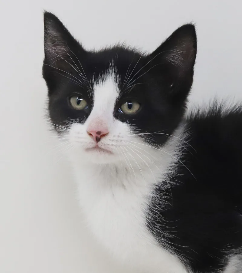 Eclair  She Is thumbnail 2