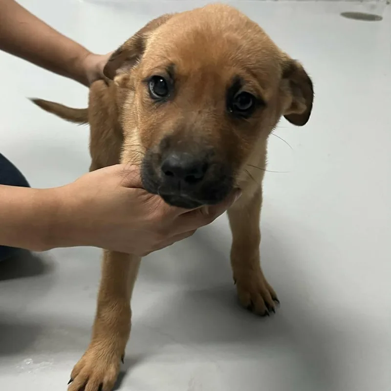 Kissymissy D Arriving