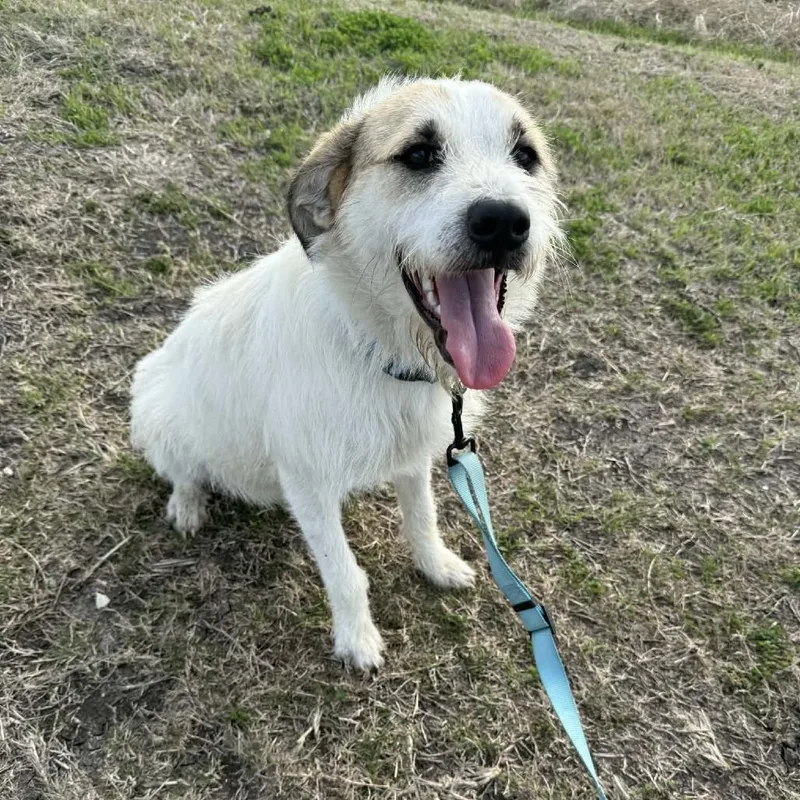 Valentine D Arriving