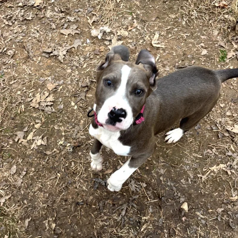 Nyteburn thumbnail 2