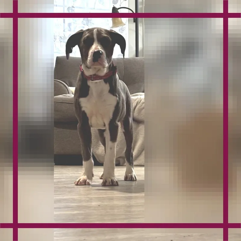 Nyteburn thumbnail 3