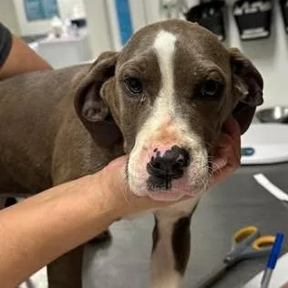 Nyteburn thumbnail 4