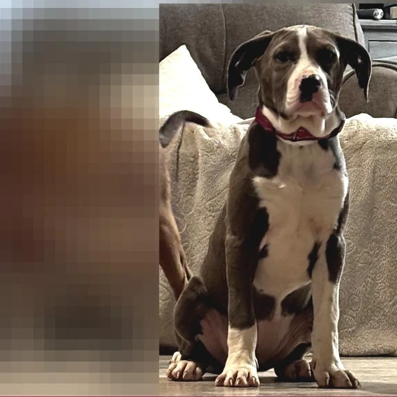 Nyteburn thumbnail 5