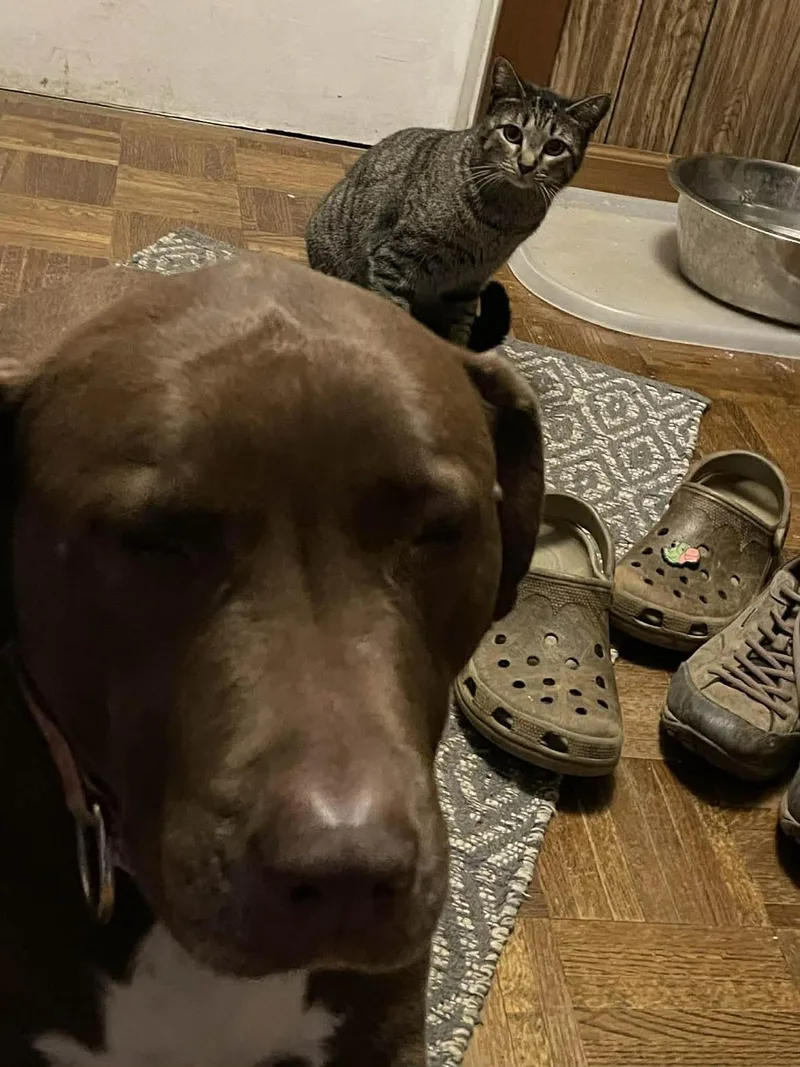 Calista & Charlie thumbnail 2