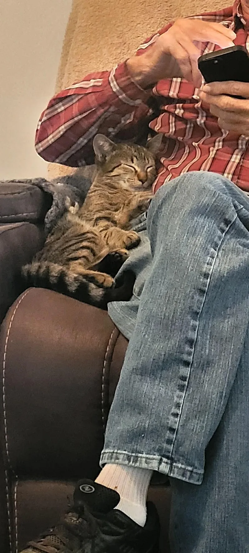 Calista & Charlie thumbnail 5