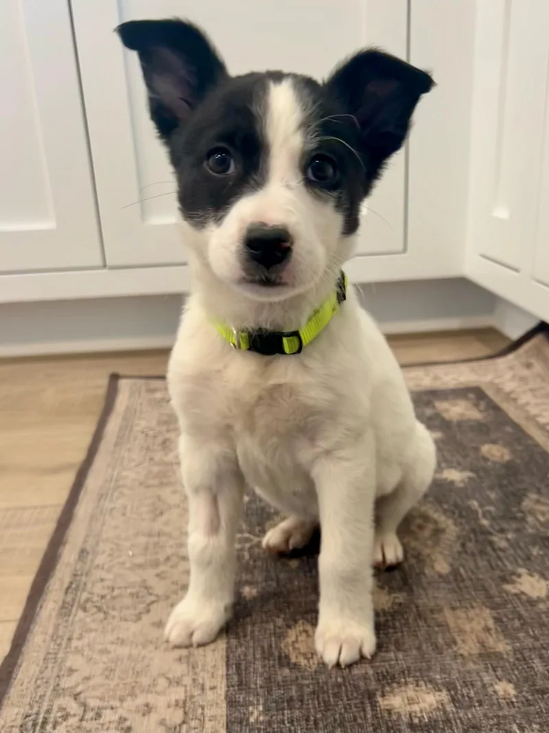 Yosemite thumbnail 2