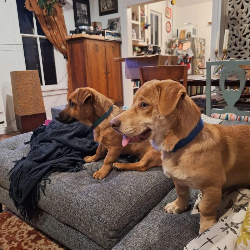 Bobby & Peggy thumbnail 2