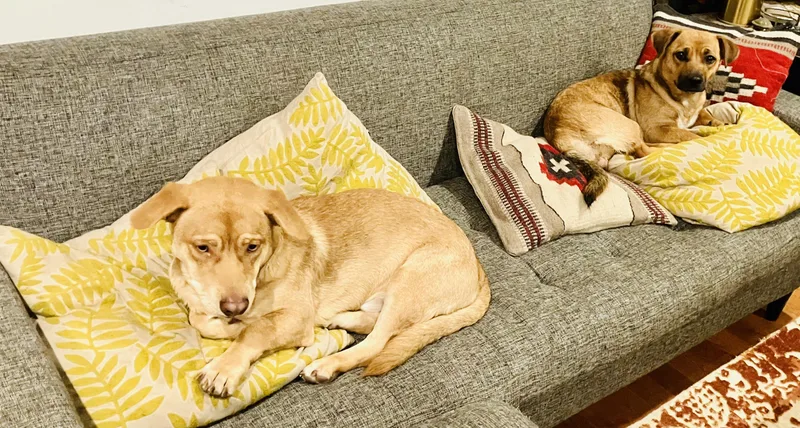 Bobby & Peggy thumbnail 4