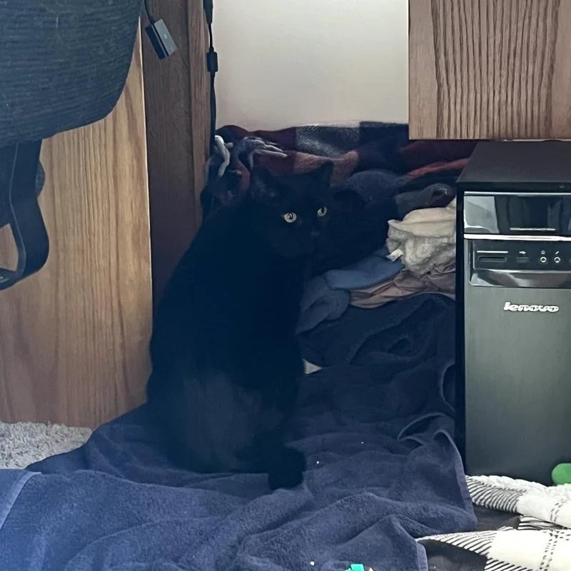 Coal Fiv+ thumbnail 2