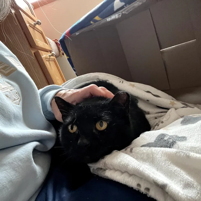 Coal Fiv+ thumbnail 3