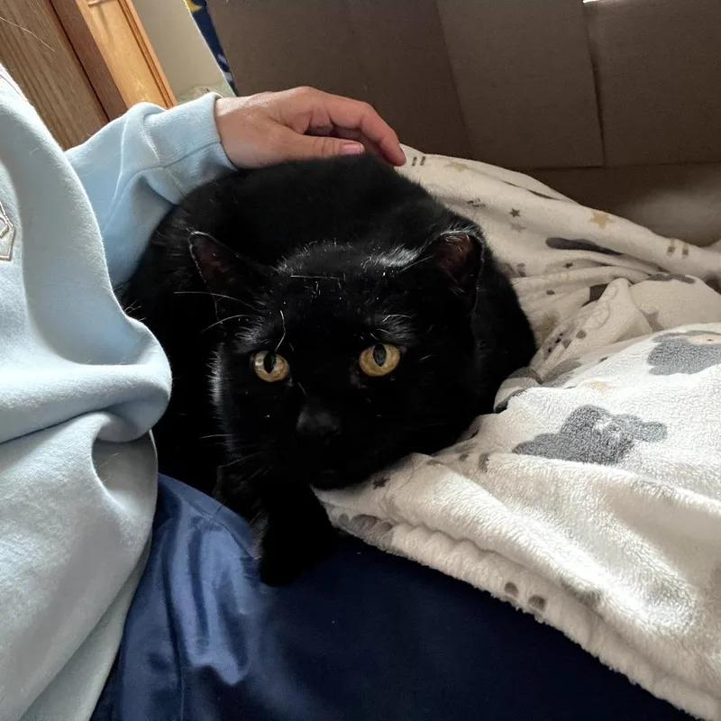 Coal Fiv+ thumbnail 5