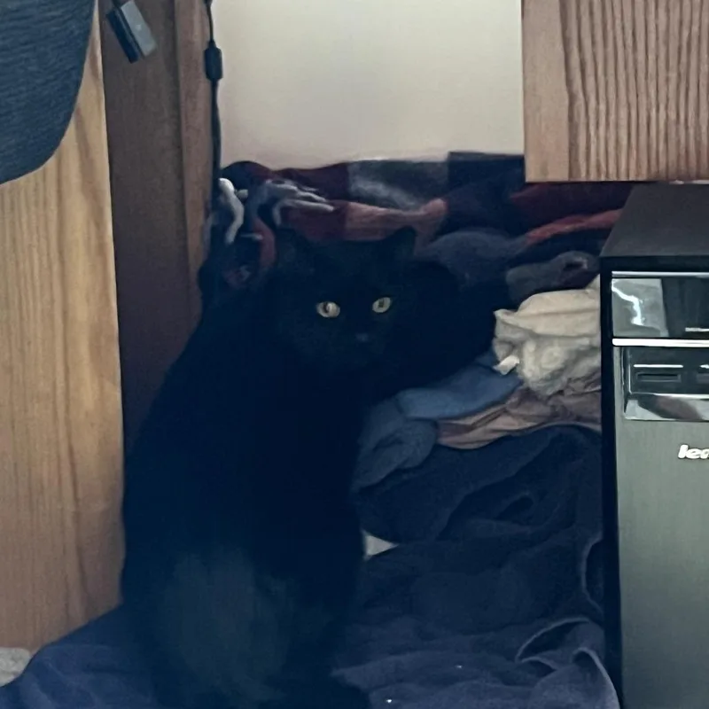 Coal Fiv+ thumbnail 6