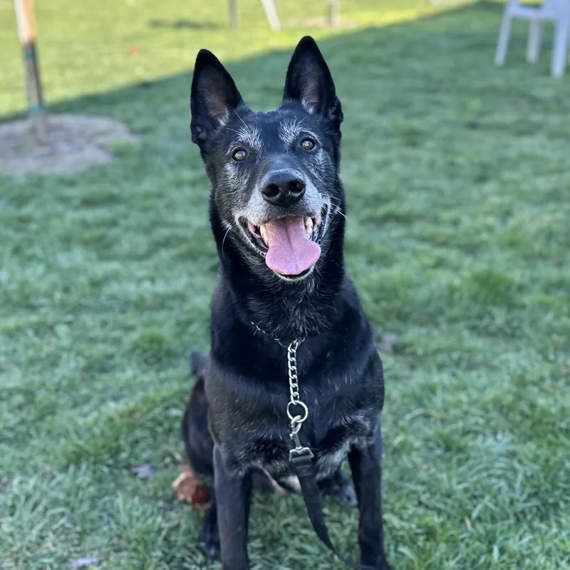 Joey  Ecas thumbnail 4