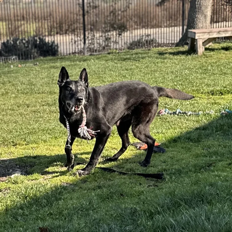 Joey  Ecas thumbnail 5