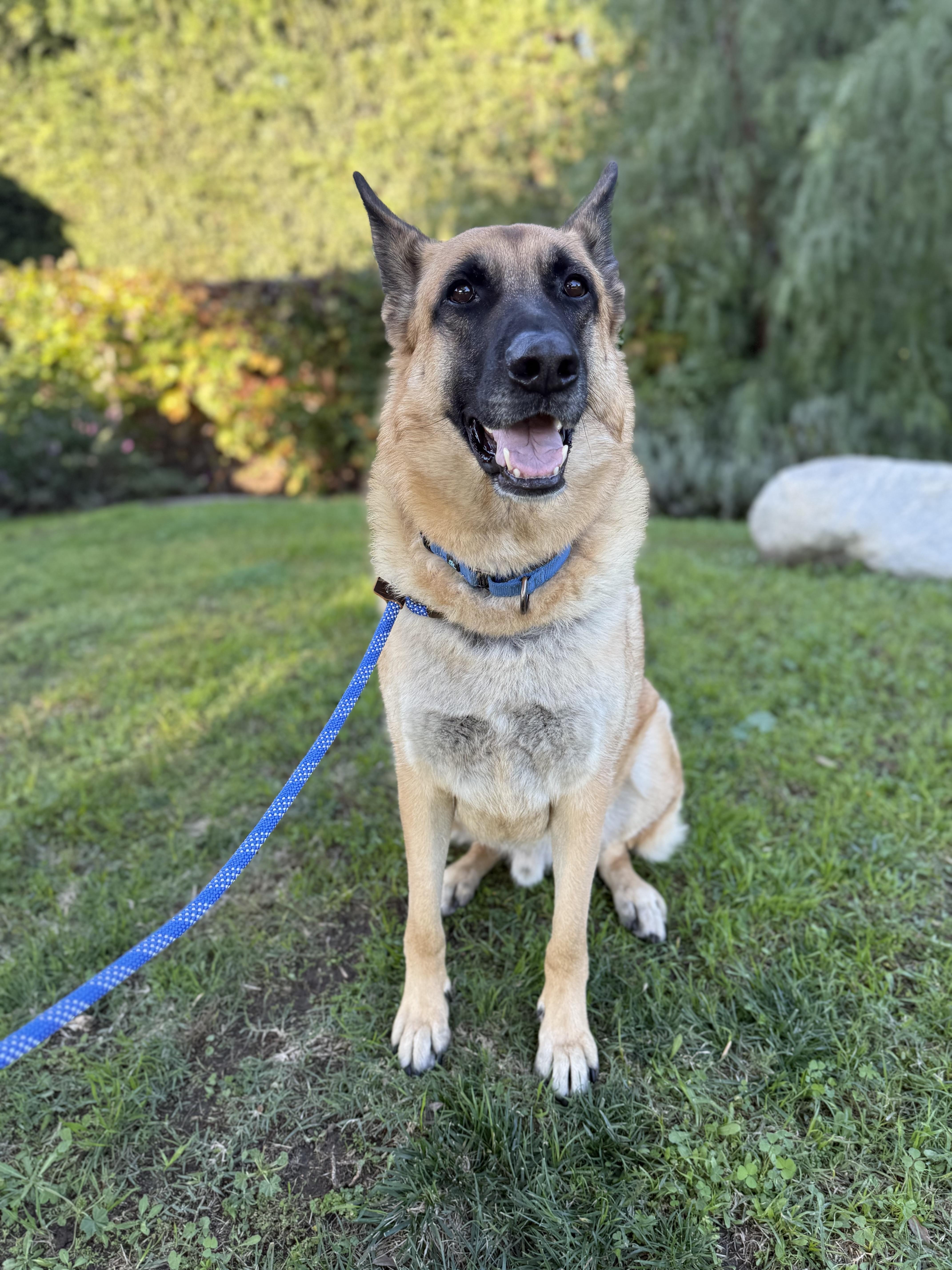 Sir Charles thumbnail 2