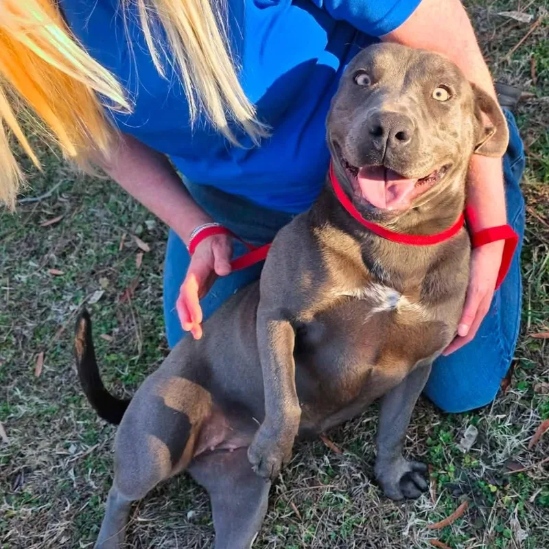 Sunshine thumbnail 2