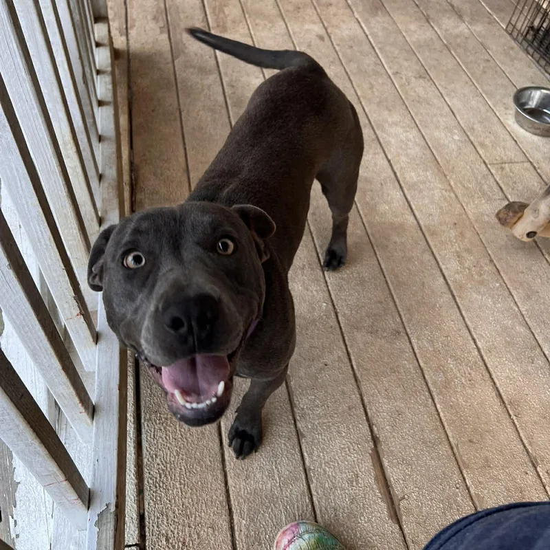 Sunshine thumbnail 3