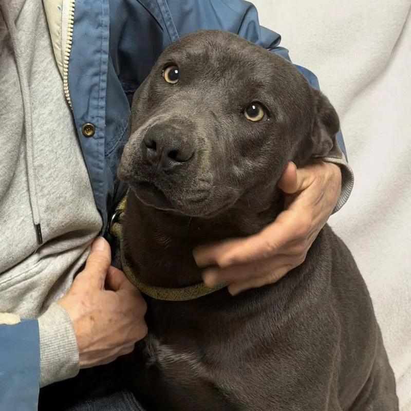 Sunshine thumbnail 4